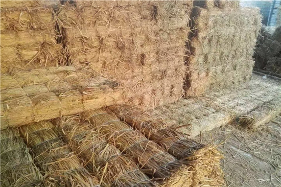 鋼廠鐵路裝載加固防滑草支墊的優(yōu)勢與應(yīng)用(鐵路專用草支墊廠家直銷) 鋼廠鐵路裝載加固防滑草支墊的優(yōu)勢與應(yīng)用(鐵路專用草支墊廠家直銷)