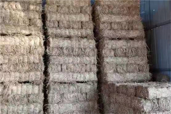 防滑草支墊在新能源汽車運(yùn)輸中的應(yīng)用