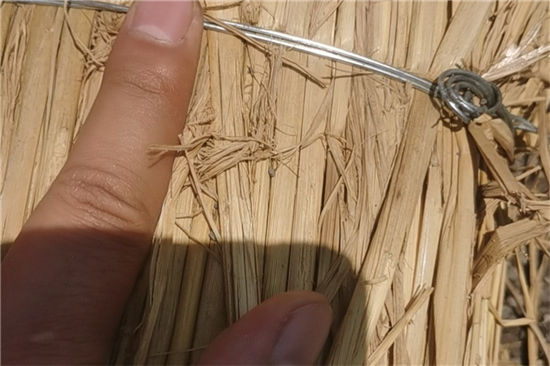 凹型草支墊：推動鐵路貨運向綠色環(huán)保轉(zhuǎn)型