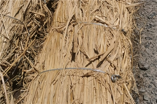 鐵路草支墊能否對(duì)土地資源有效保護(hù)？