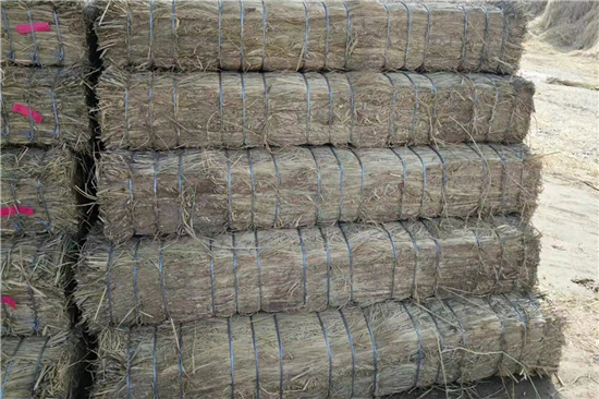 鐵路鋼廠裝載加固 防滑草支墊的施工(鐵路鋼廠裝載加固 防滑草支墊的施工方案)