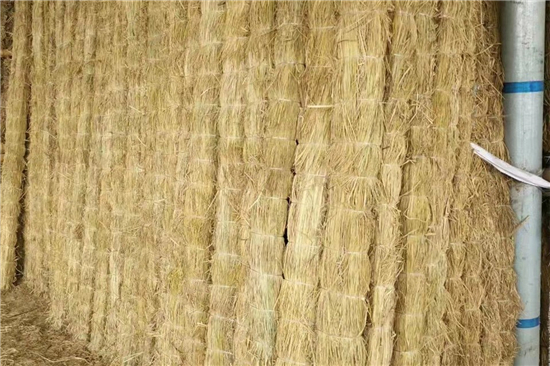 鋼廠鐵路裝載防滑草支墊的環(huán)保與經(jīng)濟(jì)性分析(草坪防滑墊)