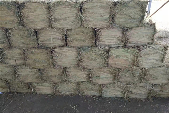 鐵路草支墊在山體滑坡預警和監(jiān)測中的應(yīng)用效果評估