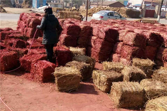 鋼廠鐵路裝載防滑草支墊的環(huán)保與經(jīng)濟(jì)性分析(草坪防滑墊)