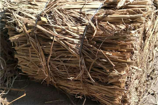 鐵路草支墊的安裝與使用方法