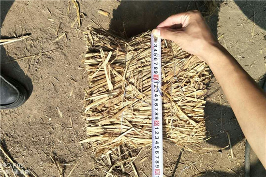 阻燃草支墊:鐵路貨運(yùn)的新銳防滑神器 阻燃草支墊:鐵路貨運(yùn)的新銳防滑神器