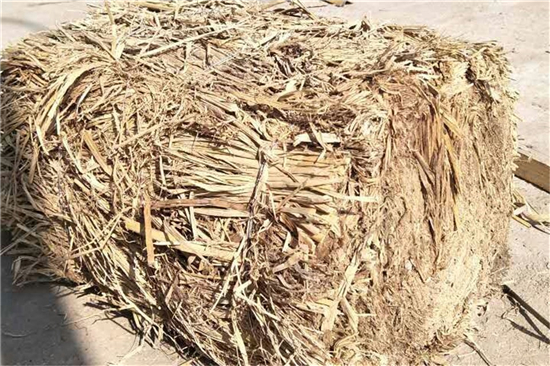 鐵路草支墊在海岸防護(hù)工程中的運(yùn)用效果分析