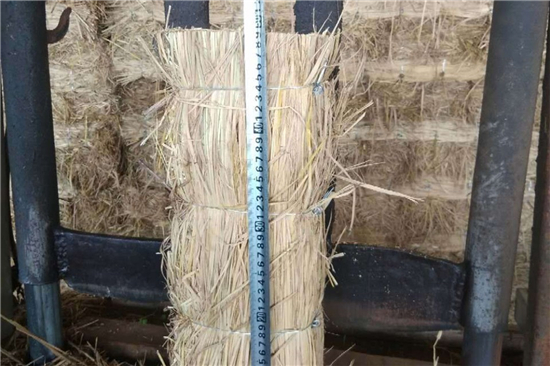 鋼廠鐵路裝載加固防滑草支墊的研究與發(fā)展(防滑草墊屬于什么用品)