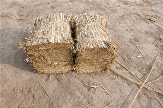 鋼廠鐵路火車運(yùn)輸防滑加固稻夫草支墊的案例分析 鋼廠鐵路火車運(yùn)輸防滑加固稻夫草支墊的案例分析