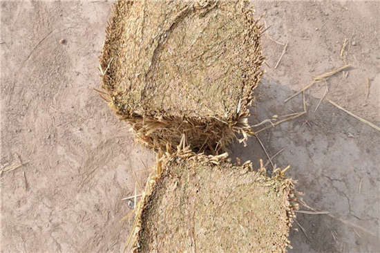 草支墊選購(gòu)：關(guān)注性能與品質(zhì)