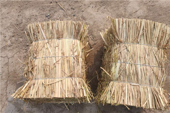 用草支墊守護(hù)鋼鐵生產(chǎn)大環(huán)境