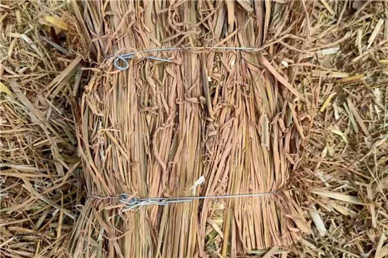 防滑草支墊：鋼廠貨物運(yùn)輸?shù)牡昧χ? title=