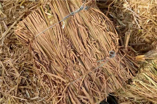 農(nóng)村區(qū)域發(fā)展，卷鋼草支墊助推跨越式增長