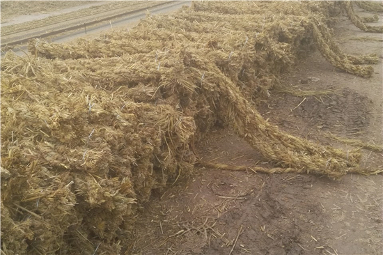 鋼廠草支墊：環(huán)保與經(jīng)濟的完美結(jié)合