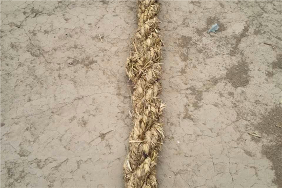 護(hù)坡草棒在土壤保持與生態(tài)治理中的重要性