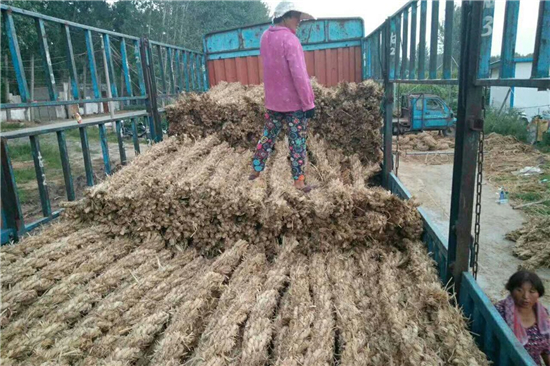 稻夫草支墊在鐵路貨運(yùn)中的創(chuàng)新應(yīng)用與實(shí)踐