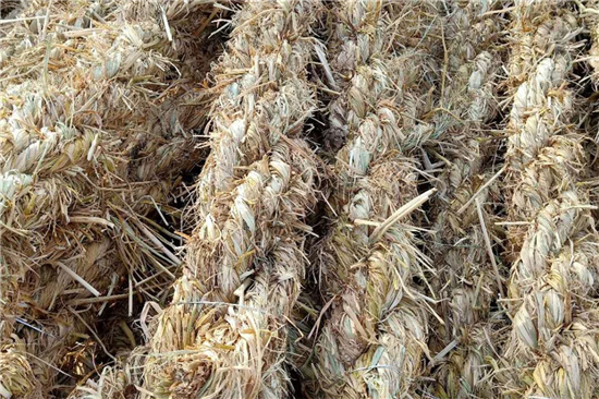 鋼廠鐵路火車運(yùn)輸防滑加固稻夫草支墊的案例分析 鋼廠鐵路火車運(yùn)輸防滑加固稻夫草支墊的案例分析