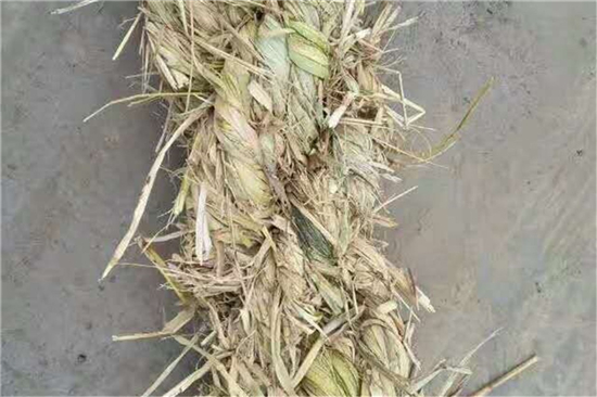 鐵路草支墊能否對(duì)土地資源有效保護(hù)？