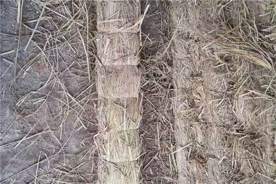 教你如何挑選高品質(zhì)防滑草支墊