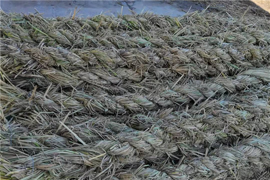 選擇草支墊，為地球做貢獻(xiàn)，為自己保駕護(hù)航