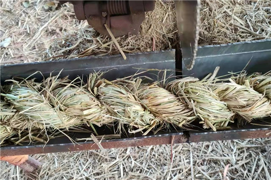 生態(tài)環(huán)境，草支墊生產(chǎn)廠(chǎng)家共同呵護(hù)