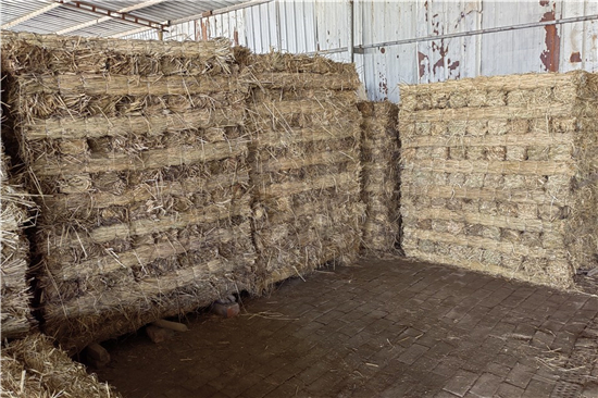 鋼廠鐵路裝載加固防滑草支墊廠家分享 選材與工藝(防滑草墊屬于什么用品)