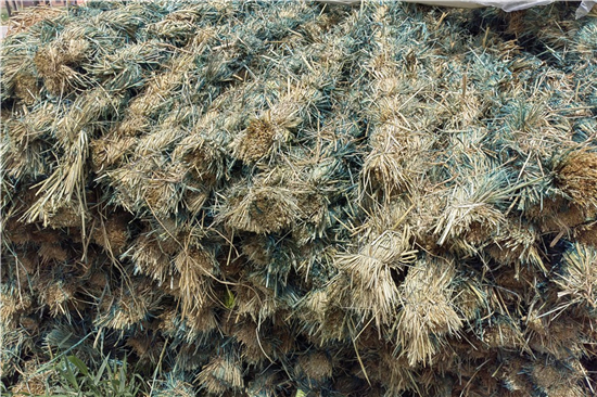 鋼廠鐵路裝載防滑草支墊的性能優(yōu)勢