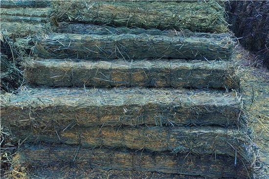 鋼廠鐵路運輸防滑加固稻夫草支墊的應急預案