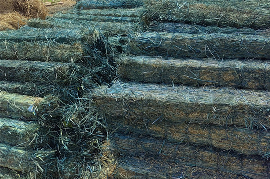 防滑草支墊在鋼廠鐵路裝載中的技術(shù)應(yīng)用(草坪防滑墊)