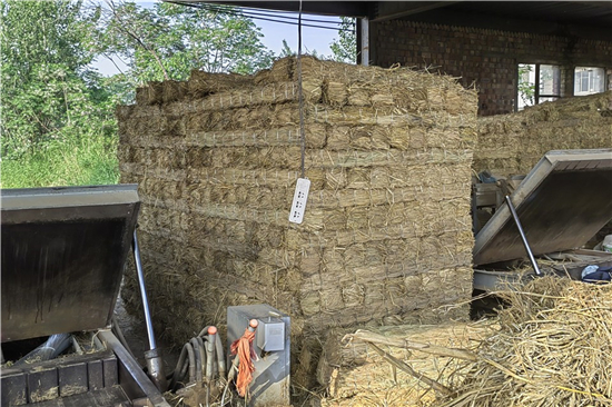 稻夫草支墊在鐵路貨運中的環(huán)保與經濟價值(稻草做的床墊對人體有害嗎)