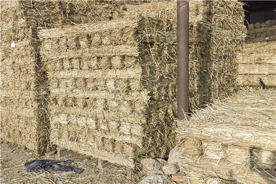 防滑草支墊在鋼廠鐵路裝載中的適應性分析