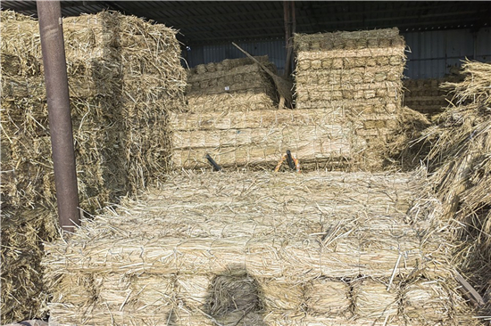 鋼廠鐵路火車運(yùn)輸防滑加固稻夫草支墊的環(huán)保與經(jīng)濟(jì)性分析