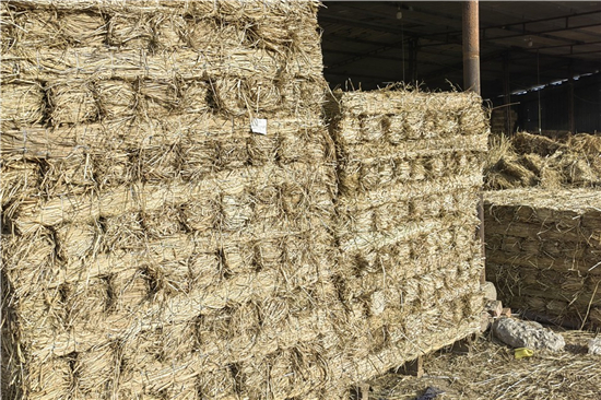 鋼廠鐵路運輸防滑加固稻夫草支墊的培訓與指導(稻草墊的使用方法)