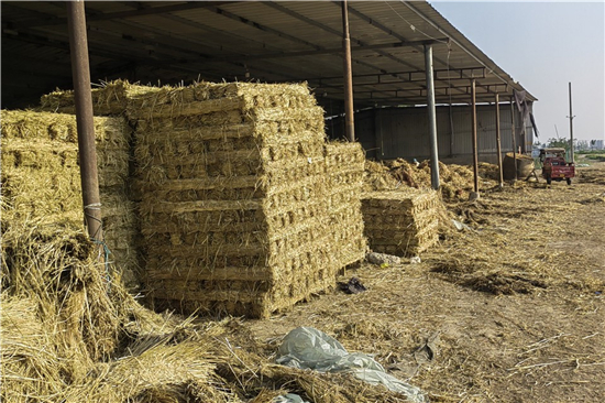 鋼廠鐵路運輸防滑加固稻夫草支墊的安全管理(稻草墊厚度不得小于且壓實后不得小于10mm)