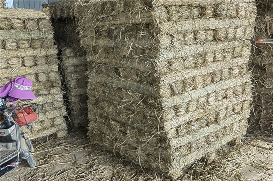 鐵路鋼廠(chǎng)裝載加固 防滑草支墊的選用(防滑草墊在哪里有賣(mài))