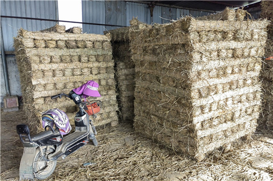 鐵路鋼廠(chǎng)裝載加固 防滑草支墊的選用(防滑草墊在哪里有賣(mài))