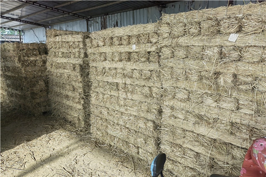 鋼廠鐵路裝載加固防滑草支墊的研究與發(fā)展(防滑草墊多少錢一塊)