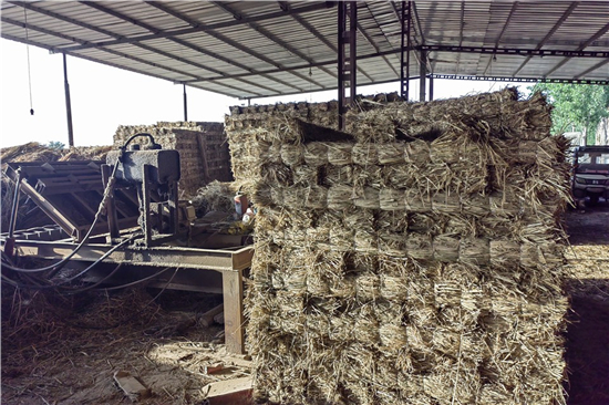 鋼廠(chǎng)鐵路裝載防滑草支墊的性能優(yōu)勢(shì)(防滑草甸)