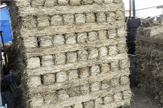 稻夫草支墊如何提升鐵路運輸安全性與穩(wěn)定性(稻草墊床墊好嗎) 稻夫草支墊如何提升鐵路運輸安全性與穩(wěn)定性(稻草墊床墊好嗎)