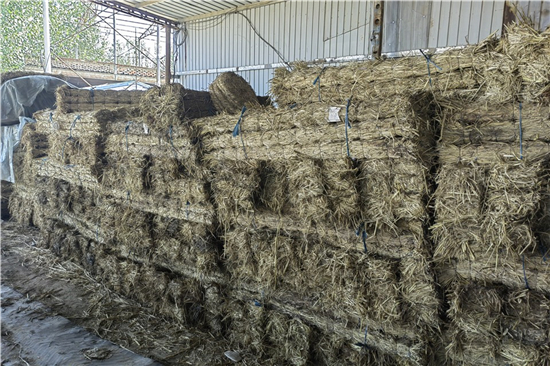 鐵路鋼廠裝載防滑草支墊廠家 服務范圍廣泛(鐵路專用草支墊廠家直銷)