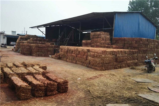 稻夫草支墊在鐵路運輸中的創(chuàng)新與實踐 稻夫草支墊在鐵路運輸中的創(chuàng)新與實踐