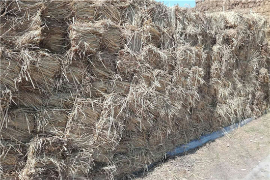 鋼廠鐵路運輸防滑加固稻夫草支墊 保障運輸安全的關(guān)鍵