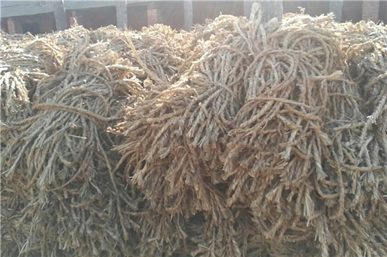 防滑草支墊廠家 鐵路鋼廠裝載安全的保障(防滑草墊規(guī)格)