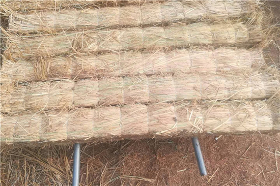 鋼廠鐵路裝載防滑草支墊的市場前景與趨勢(防滑草墊多少錢一塊)