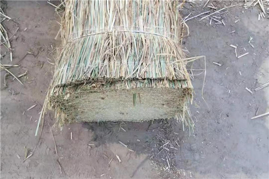 鐵路鋼廠如何選用合適的防滑草支墊？(防滑草墊子)