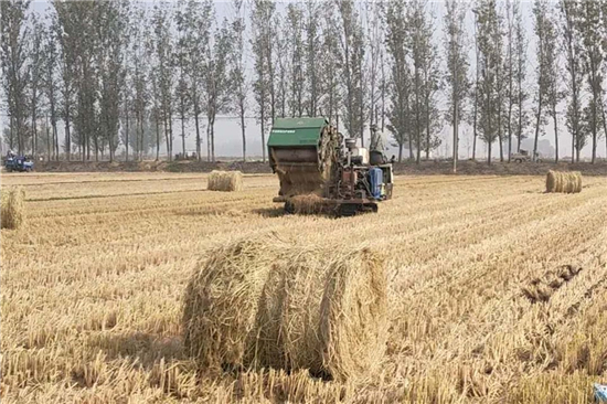 鋼廠鐵路裝載加固防滑草支墊廠家 誠(chéng)信經(jīng)營(yíng)(鐵路專(zhuān)用草支墊多少錢(qián))