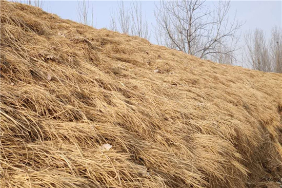 鐵路鋼廠裝載防滑草支墊廠家 助力綠色運(yùn)輸