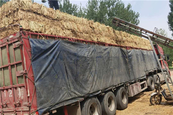 鋼廠鐵路運輸防滑加固稻夫草支墊的檢測與質量控制(稻草墊厚度不得小于且壓實后不得小于10mm)