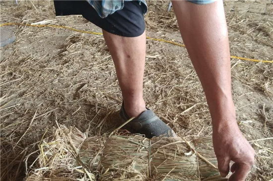 專業(yè)鋼廠鐵路裝載加固防滑草支墊廠家的發(fā)展之路(防滑草墊使用注意)