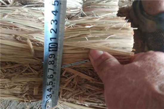 鐵路鋼廠裝載加固 防滑草支墊的選擇(防滑草繩捆扎方法)